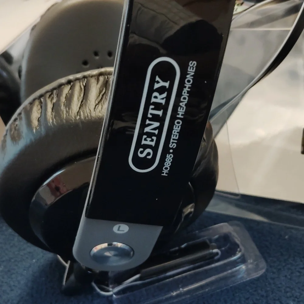 Platinum in line 🎤 microphone and stereo headphones